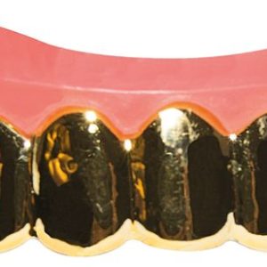 Dentier rigide avec p‚te - dents or