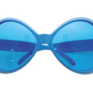 Lunettes plastique - mouche - bleu