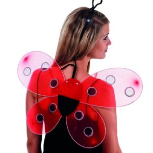 Ailes de coccinelle + serre-tÍte - 48 x 45 cm