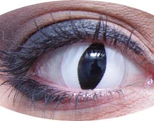 Lentilles de contact fantaisie - úil de chat - blanc - la paire - PRIX NET