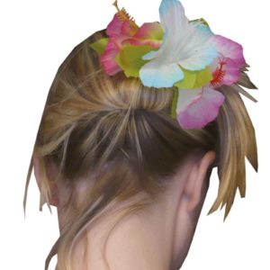 Pince ‡ cheveux hawaÔenne plate - couleurs assorties