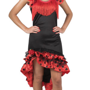 Costume adulte espagnole - taille unique