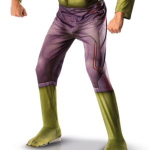 Costume adulte luxe HULK - taille standard - PRIX NET