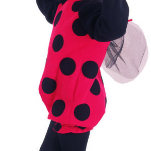 Costume baby coccinelle - 80/92 cm