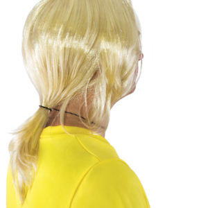 Perruque Brice de Nice - PRIX NET