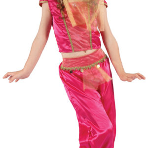 Costume enfant luxe princesse orientale - S