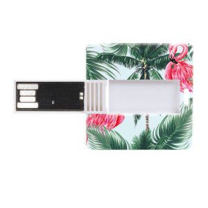 Clè USB carrèe