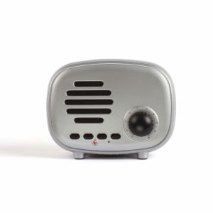 Haut-parleur compatible BluetoothÆSilver