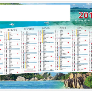 EXOTIC 2019