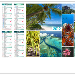 PALMIER 2019