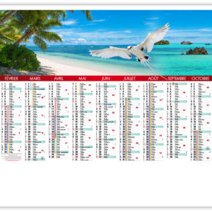 PARADISIAQUE 2019