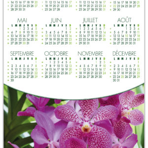 ESTAMPE MURALE ORCHIDÉE 2019