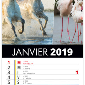 LANGUETTE COULEURS PROVENCE 2019