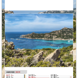PLAQUE 1 VUE DOS CARTON SAM 2019