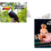 CALENDRIERS DE POCHE CRÉATION 2019