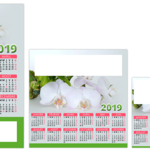 MAG ZEN 2019