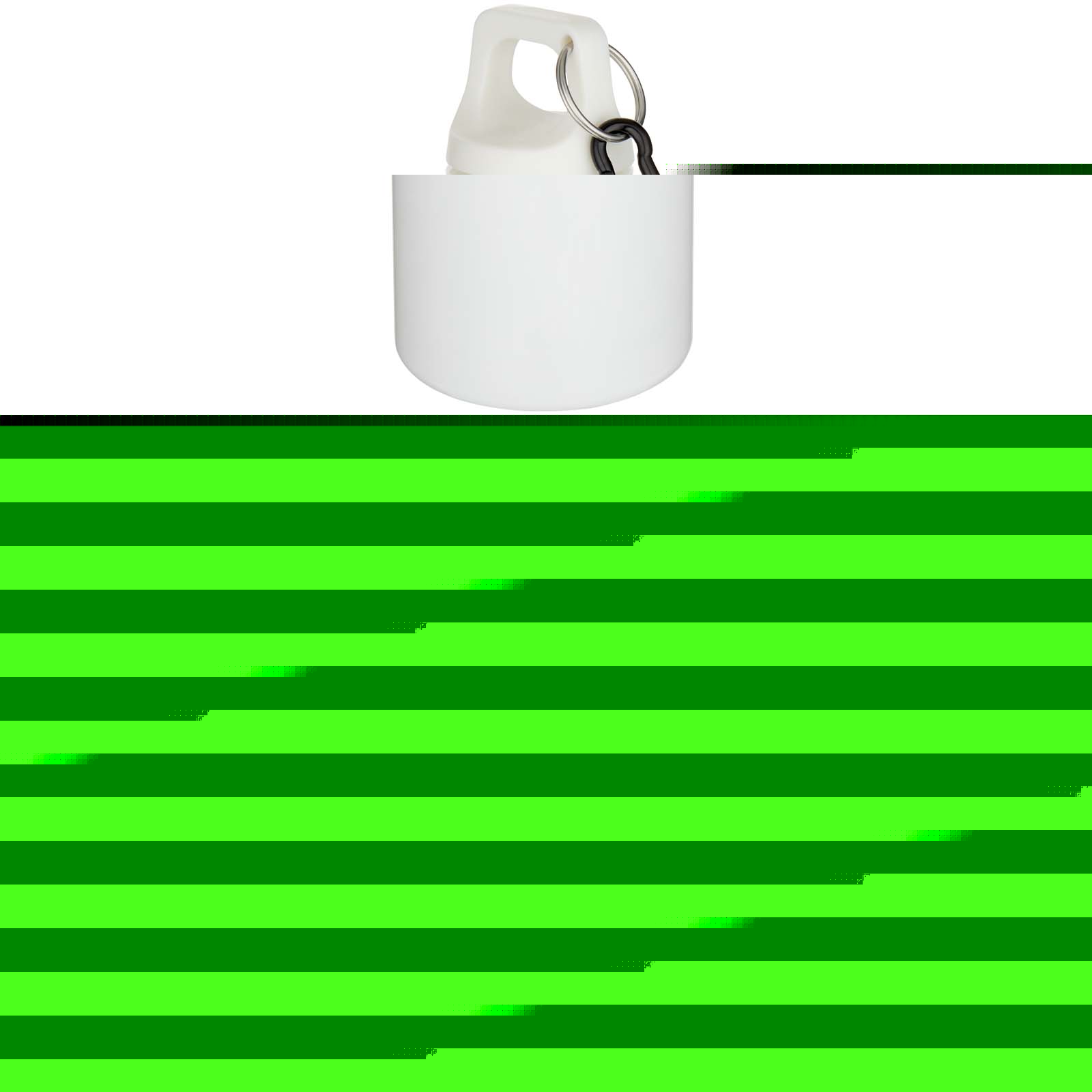 Bouteille d’eau Oregon de 750 ml en plastique recyclé uni certifié RCS avec mousqueton Bouteille d’eau Oregon de 750 ml en plastique recyclé uni certifié RCS avec mousqueton