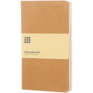 Journal Cahier L – ordinaire – vue 2