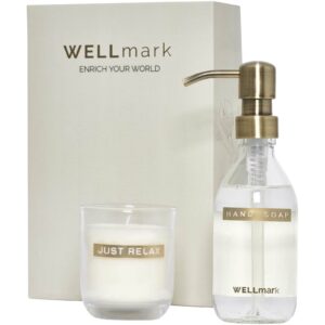 Distributeur de savon pour les mains de 250 ml et ensemble de bougies parfumées de 150 g Wellmark Discovery- parfum linge fra