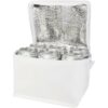 Sac isotherme Spectrum non tissé recyclé GRS de 4L pour 6 canettes