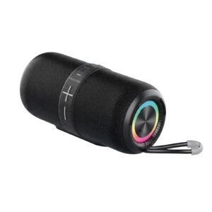 Enceinte Prixton Hit Box 30W