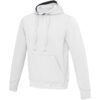 Sweat à capuche unisexe de 300 g/m² Arora