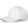 Casquette de 260 g/m² Doyle 5 panneaux