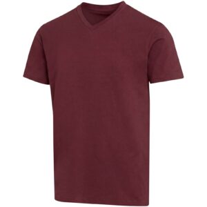T-shirt unisexe en coton bio certifié OCS Balfour à manches courtes et col en V de 200 g/m² – vue 4