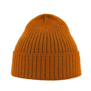 Bonnet Viral Atlantis Headwear – vue 3