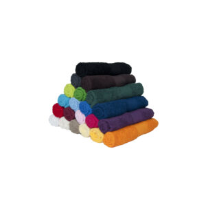 Serviette pour invités Bear Dream Classic Guest Towel