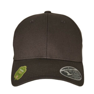 Casquette en coton organique Flexfit 110 Organic Cap – vue 3