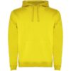 Sweat à capuche de 280 g/m² Urban pour homme