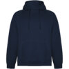 Sweat à capuche de 300 g/m² Vinson en coton organique unisexe