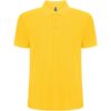 Polo de 220 g/m² Pegaso Premium à manches courtes pour homme
