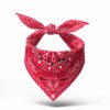 Bandana