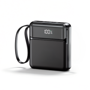 Batterie De Secours Sans Fil 10 000 Mah Blaupunkt