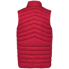 Bodywarmer écoresponsable léger homme Native Spirit NS6005