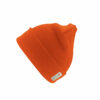 Bonnet Thinsulate™ Result Heavyweight Ski Hat