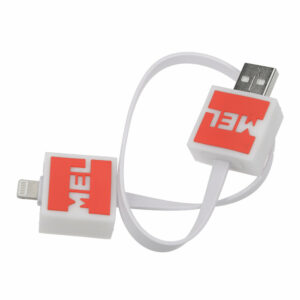 Câble USB personnalisé (réf. CBUSBPVC2)