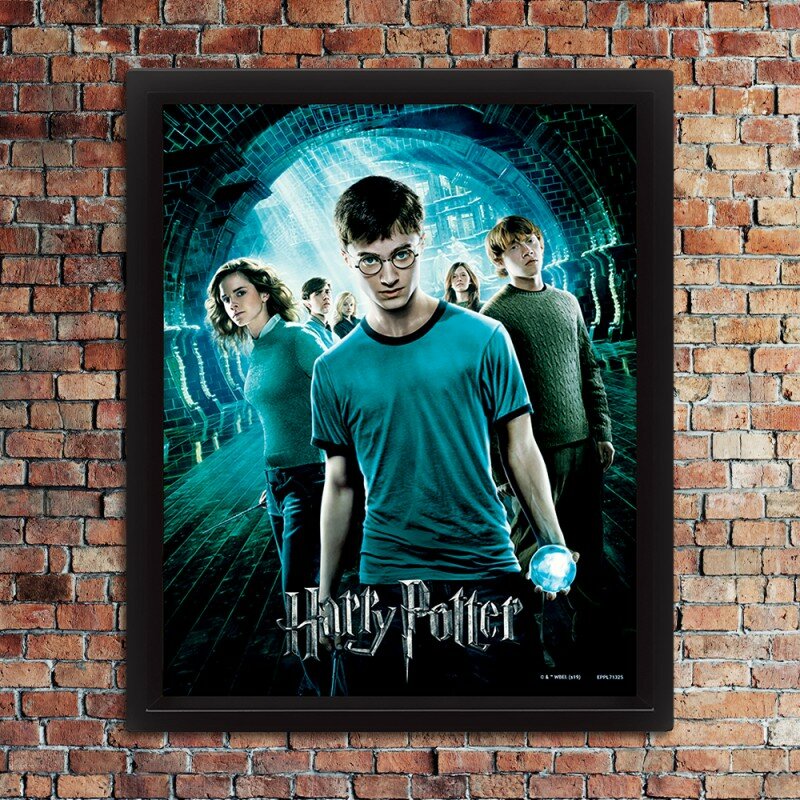 Cadre Harry Potter et L'Ordre du Phénix Effet Animé 3D Cadre Harry Potter et L'Ordre du Phénix Effet Animé 3D