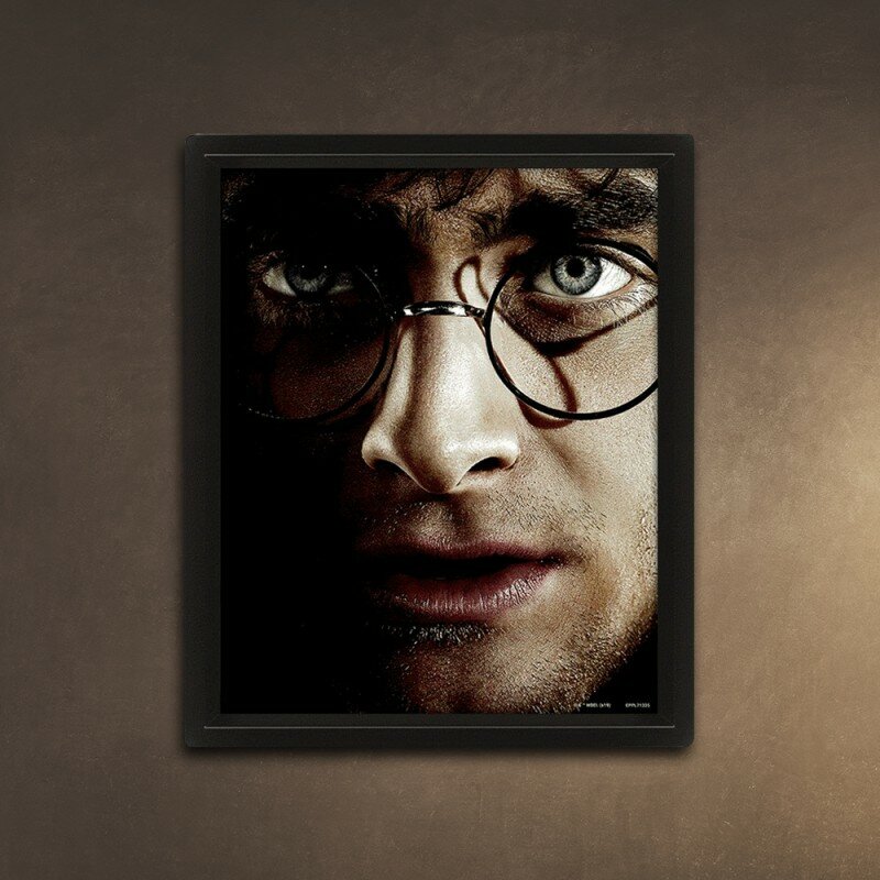 Cadre Harry Potter / Voldemort Effet Animé 3D Cadre Harry Potter / Voldemort Effet Animé 3D