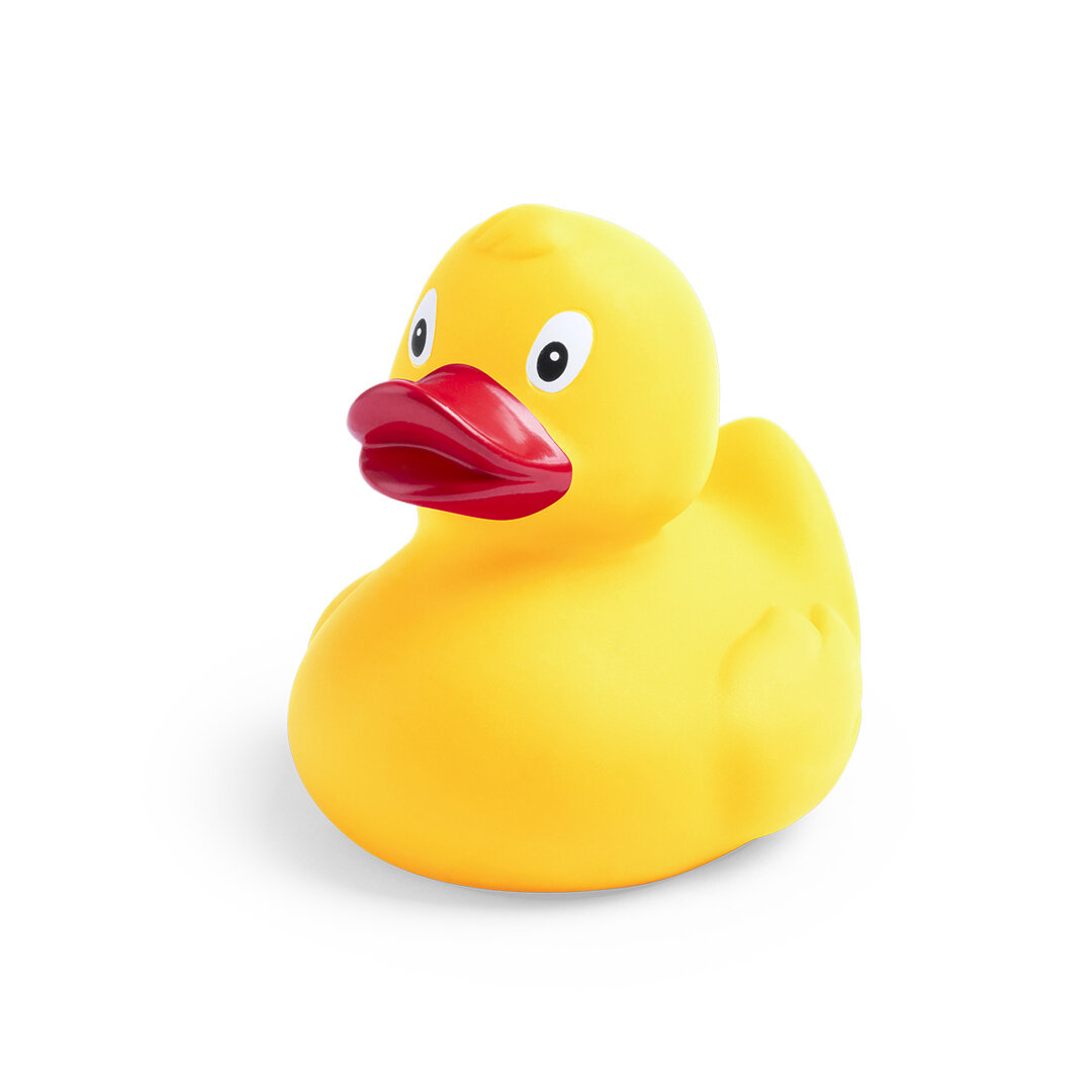 Canard Koldy Canard Koldy