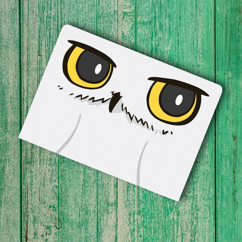 Carnet de Notes Doux Hedwige Harry Potter Carnet de Notes Doux Hedwige Harry Potter