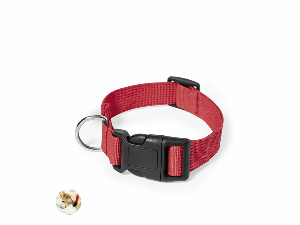 Collier Mastif Collier Mastif