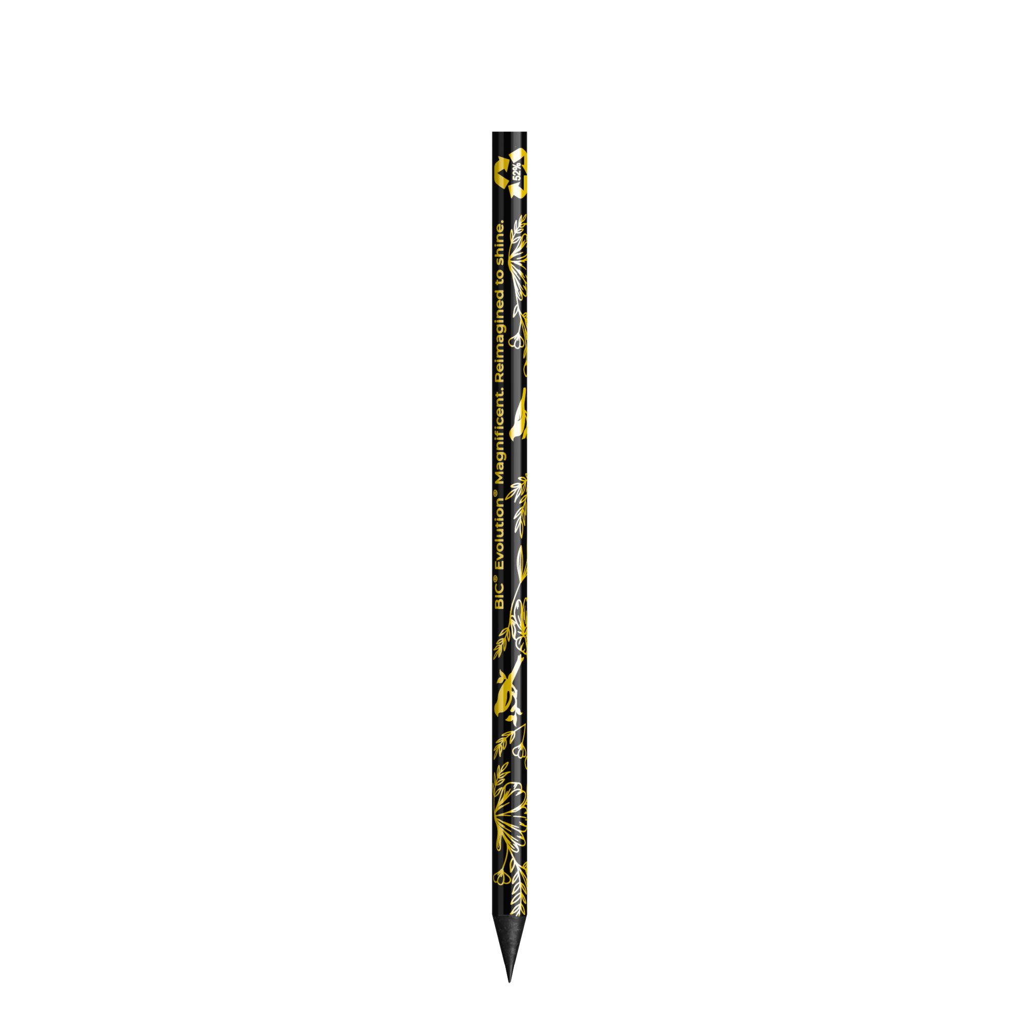 Crayon à mine coupée BIC® Evolution® Magnificent Basalt Crayon à mine coupée BIC® Evolution® Magnificent Basalt