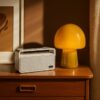 Enceinte BT et RADIO FM