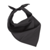 Fiesta - Bandana K-up KP064