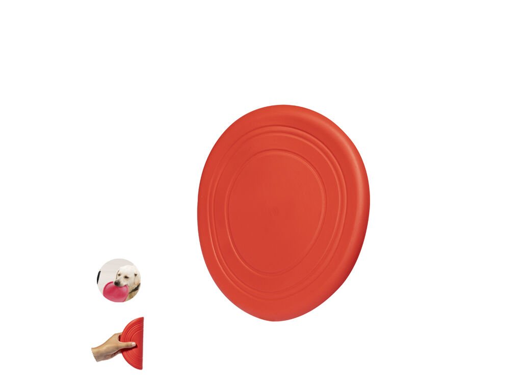 Frisbee Girud Frisbee Girud