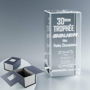 Grand Trophée Rectangulaire 30 cm