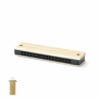Harmonica Blues